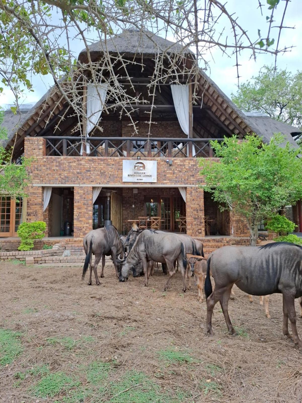 Kruger Riverside Lodge - No Load-Shedding 말로스 파크 외부 사진