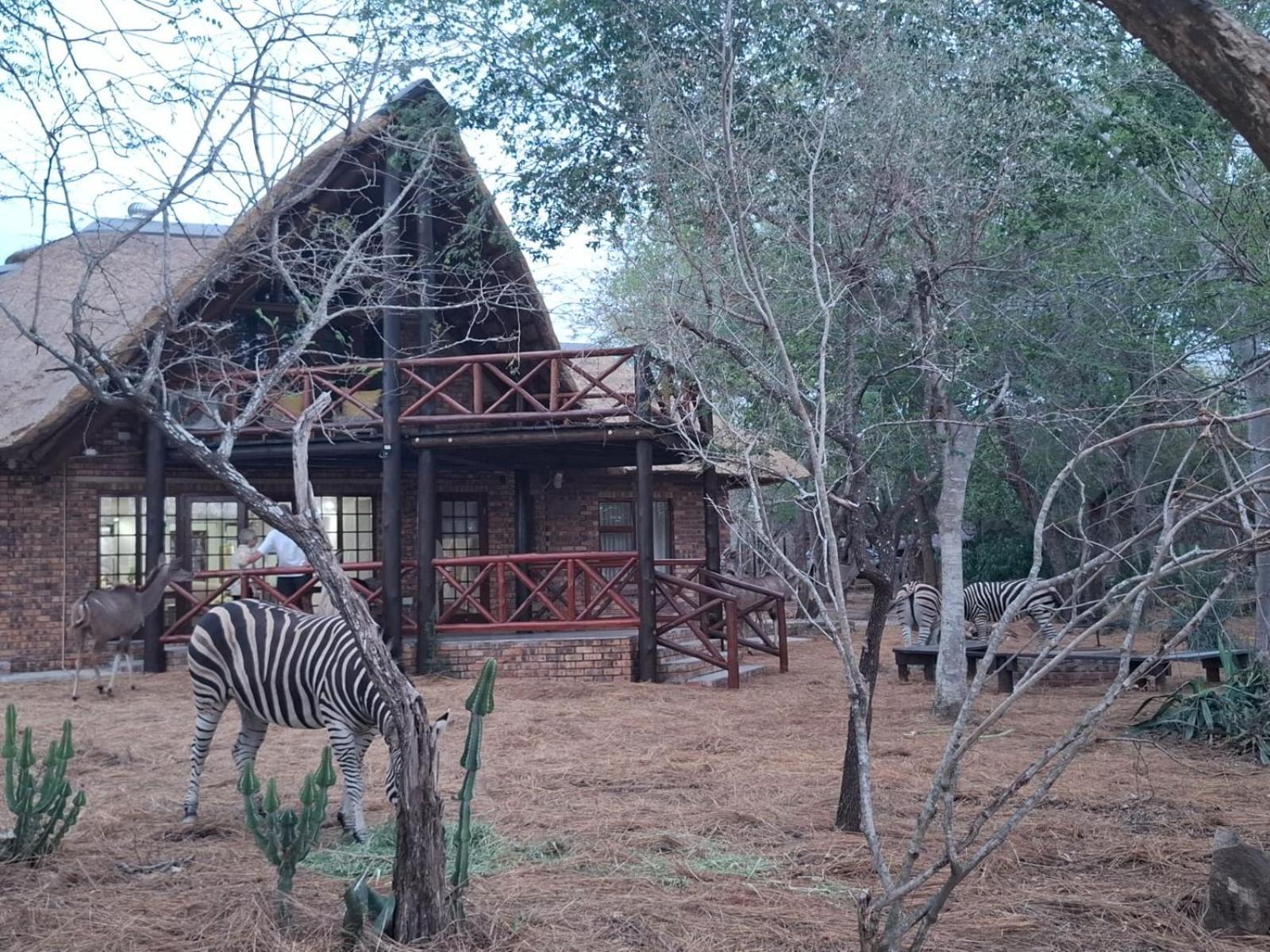 Kruger Riverside Lodge - No Load-Shedding 말로스 파크 외부 사진