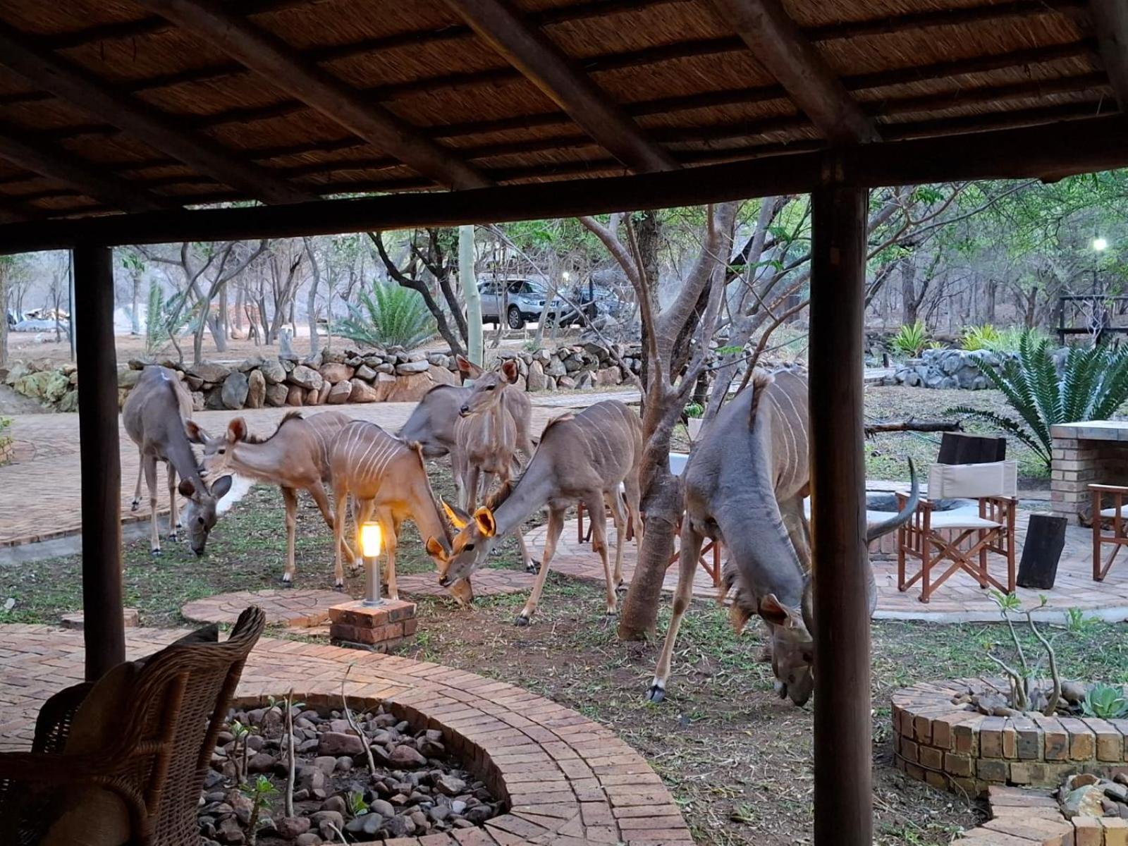 Kruger Riverside Lodge - No Load-Shedding 말로스 파크 외부 사진