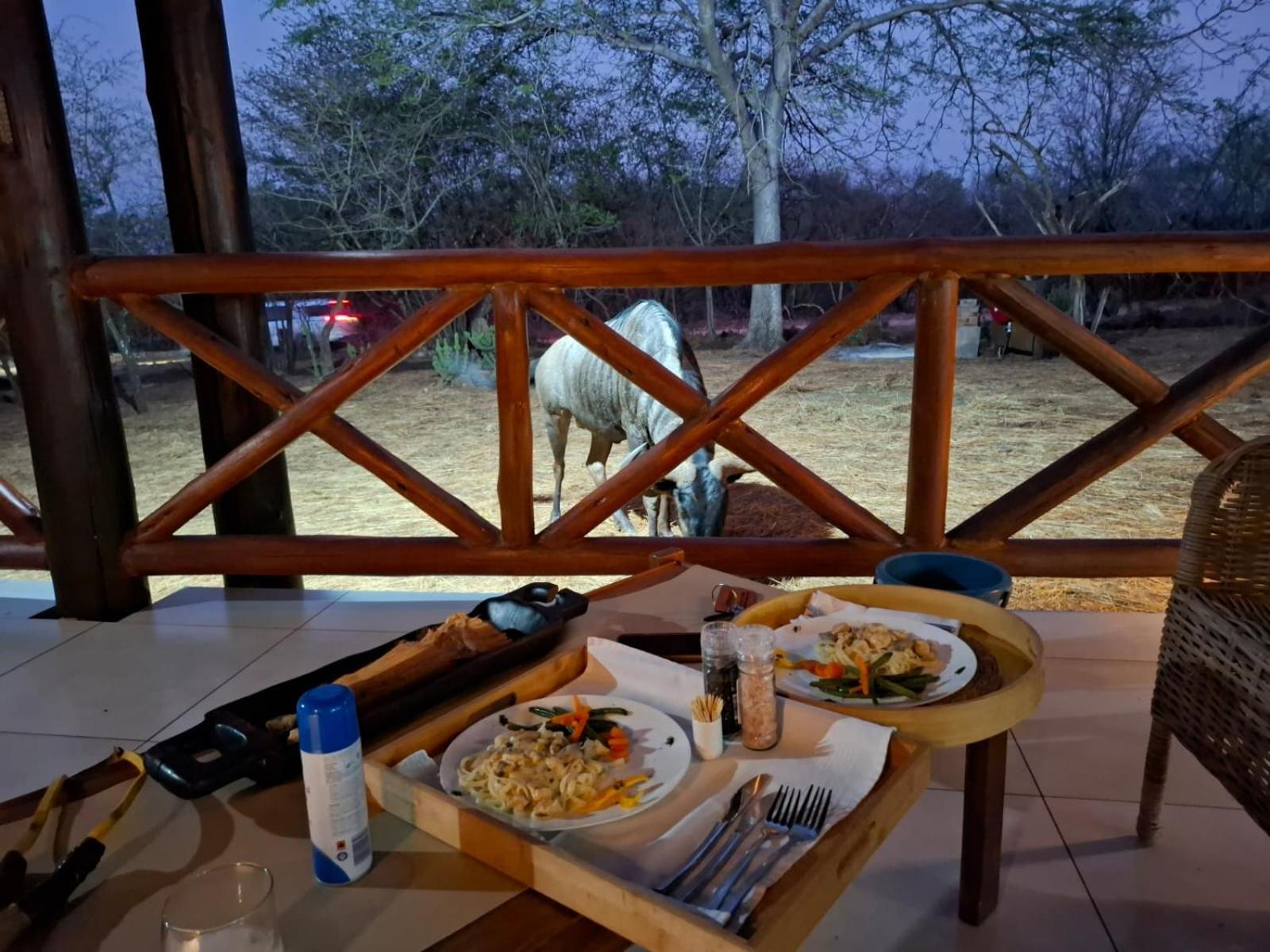 Kruger Riverside Lodge - No Load-Shedding 말로스 파크 외부 사진